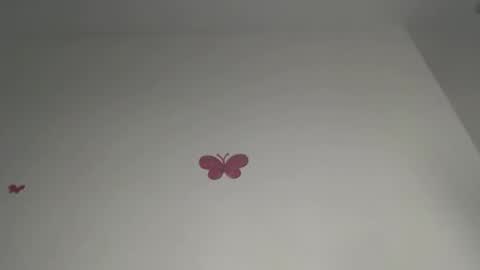 Iris online show from 02/21/26, 07:48