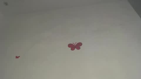 Iris online show from 03/09/26, 08:02