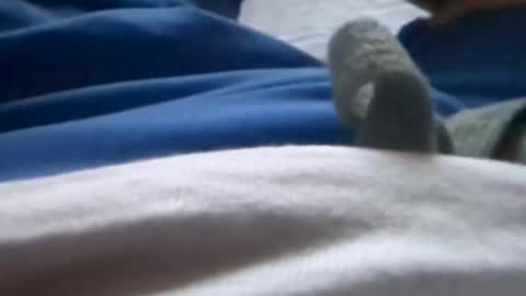 Tiny cock online show from 07/08/26, 01:32