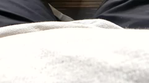 Tiny cock online show from 07/15/26, 11:37