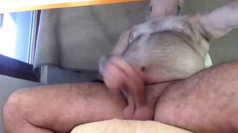 hornyswissman online show from 09/08/25, 05:01