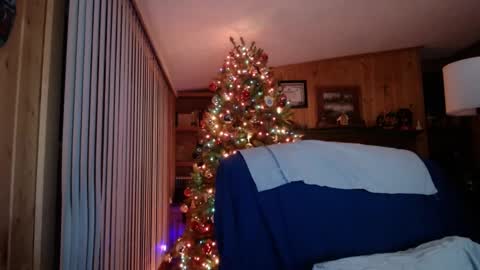 horsebigballs online show from 01/19/25, 05:15