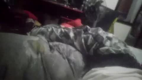 Snapshot of horsebrowm chatting on 01/01/25, 11:29 horsebrowm online show from 01/01/25, 11:29