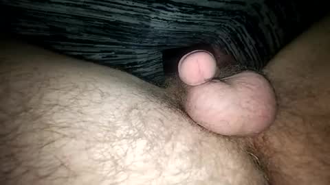 Snapshot of horsecock9748 chatting on 02/12/25, 09:52 horsecock9748 online show from 02/12/25, 09:52