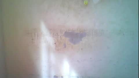 Coco online show from 11/01/25, 08:16