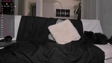 Andrew xdres08 online show from 03/04/25, 06:58