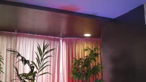 Anais online show from 02/15/26, 10:03