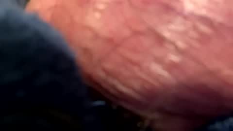 Snapshot of hotdog1124 chatting on 01/06/25, 01:09 hotdog1124 online show from 01/06/25, 01:09