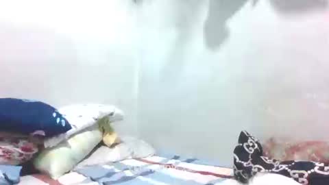 hotlavender online show from 01/27/25, 04:09