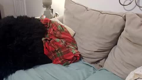 hotpepperose online show from 02/27/26, 02:33