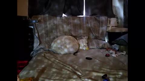 hotrox6942 online show from 09/24/25, 10:51