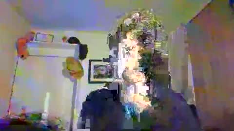 Marco Polo online show from 11/10/25, 12:31