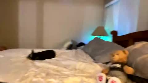 hottiewithabody101 online show from 04/11/26, 11:53