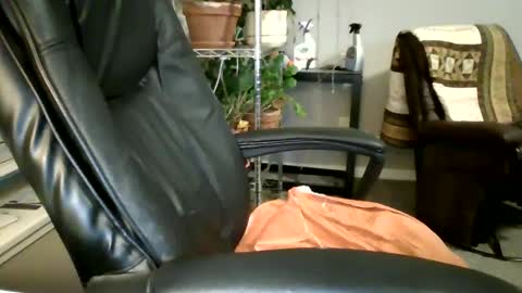 Hottop 1981 online show from 03/04/25, 02:27