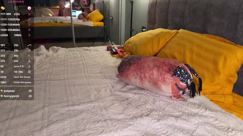 Elizabeth online show from 12/23/24, 04:33