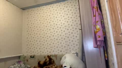 hsiuscherich online show from 01/12/26, 12:10