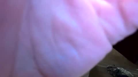 htwnswangn9 online show from 04/01/26, 03:29