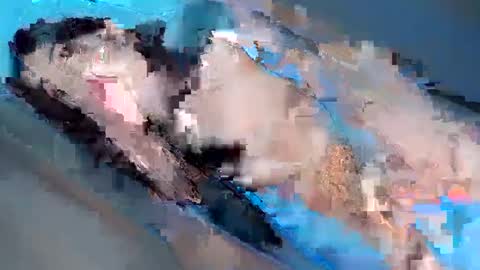 Yhanie online show from 02/03/25, 01:08