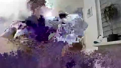 David online show from 03/04/26, 06:58