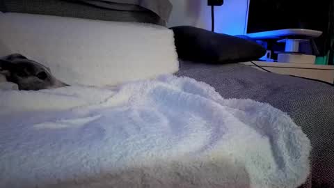 Hugo online show from 02/14/25, 08:26