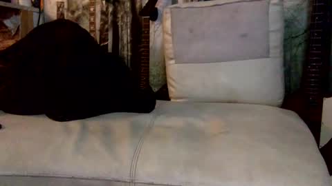 Snapshot of huippari chatting on 12/08/24, 10:30 huippari online show from 12/08/24, 10:30