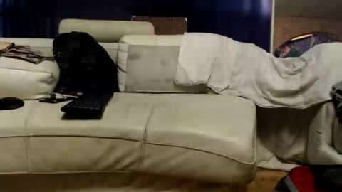 Snapshot of huippari chatting on 09/29/25, 12:32 huippari online show from 09/29/25, 12:32