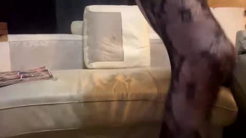 huippari online show from 12/15/25, 11:09