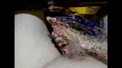 hung_mac0 online show from 02/17/26, 02:13