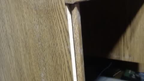 hungsofine online show from 12/18/24, 04:06