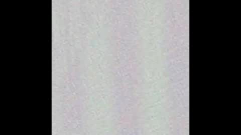 Wh8teboi online show from 11/30/25, 10:25