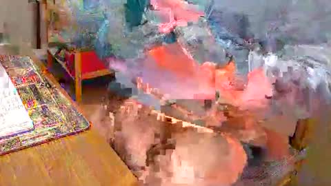 hunty57 online show from 10/23/25, 08:29