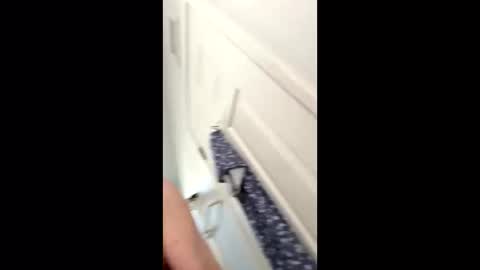 huskey300 online show from 01/09/26, 04:32