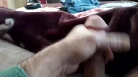 Snapshot of husky1511 chatting on 11/11/25, 09:20 husky1511 online show from 11/11/25, 09:20