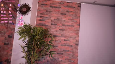 Lucy online show from 01/24/25, 09:39