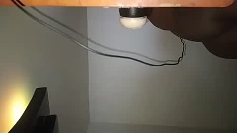 Andres online show from 11/23/25, 08:03