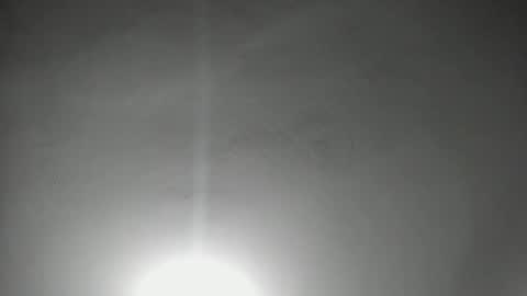 NAHO online show from 03/08/26, 11:19