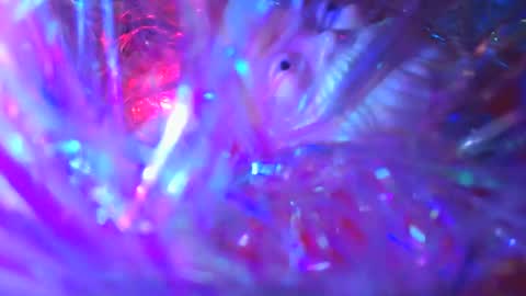 iamhereandnow online show from 12/19/25, 02:07