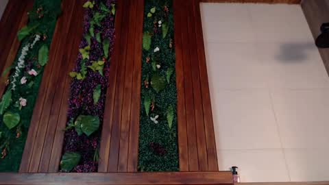 Ian Davis online show from 03/04/25, 07:54