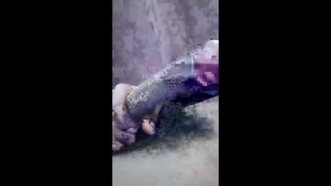 ibhcgvuspcrb online show from 03/04/26, 08:04