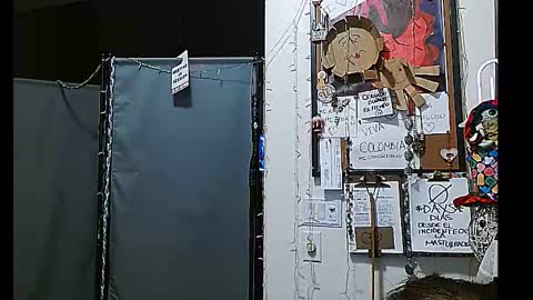 Snapshot of ibpms247 chatting on 12/31/24, 08:37 PMS online show from 12/31/24, 08:37