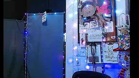 Snapshot of ibpms247 chatting on 01/01/25, 01:48 PMS online show from 01/01/25, 01:48