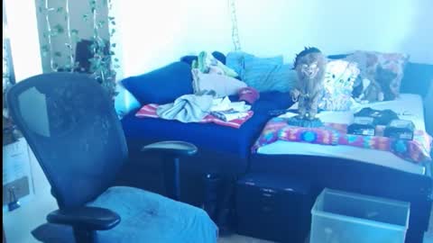 Snapshot of ibpms247 chatting on 02/24/25, 05:42 PMS online show from 02/24/25, 05:42