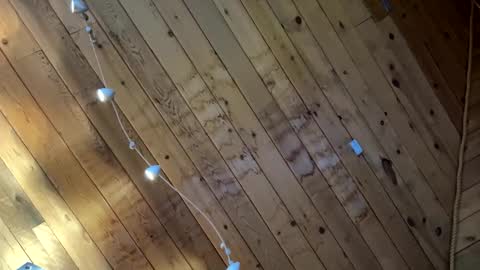 Snapshot of icanmakeyousquirt69 chatting on 03/17/26, 09:18 icanmakeyousquirt69 online show from 03/17/26, 09:18