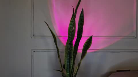 Crystall online show from 10/03/25, 05:37