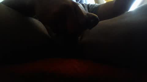 icecreamman6986 online show from 01/01/25, 08:15