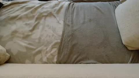 Snapshot of ich_hh chatting on 01/24/25, 11:04 SnowTiger online show from 01/24/25, 11:04