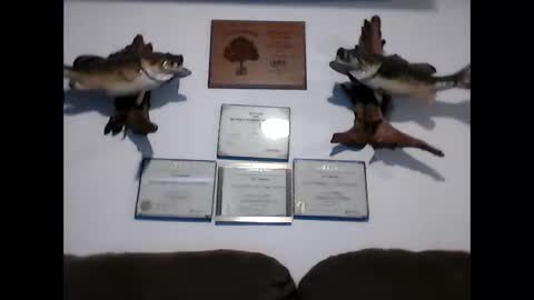 idkwhyidothis348732 online show from 02/12/25, 09:22