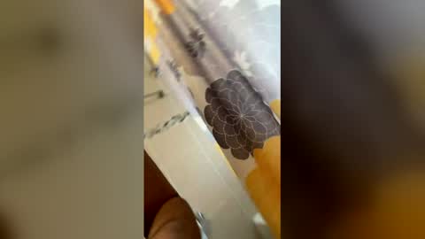 Snapshot of ikaikagora00 chatting on 03/05/26, 04:36 ikaikagora00 online show from 03/05/26, 04:36