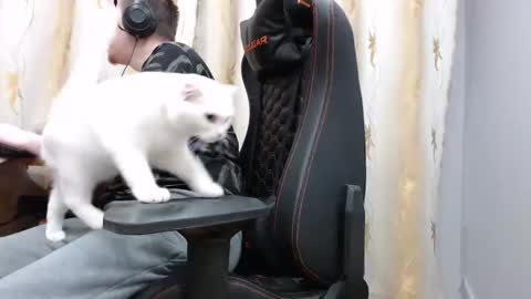 lord online show from 11/07/25, 01:44