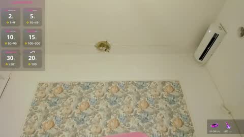 illegal_lorry online show from 05/28/26, 05:16